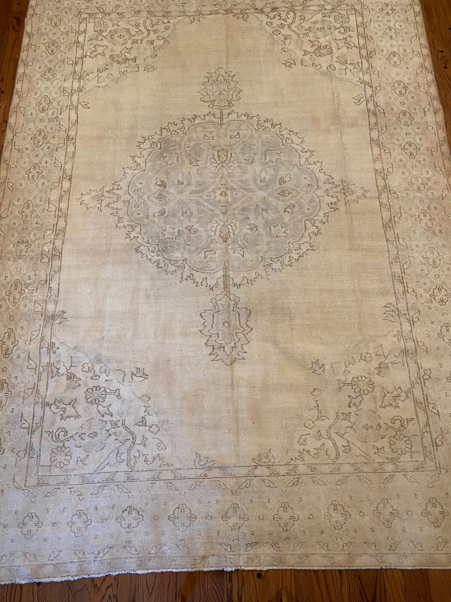 Mae - Clements Fine Rugs