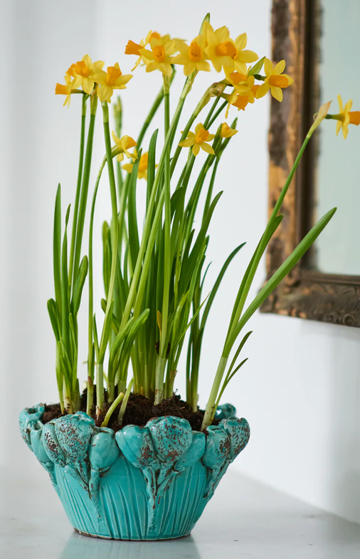 Les Fleur Seafoam Bowl, Flowers - Clements Fine Rugs