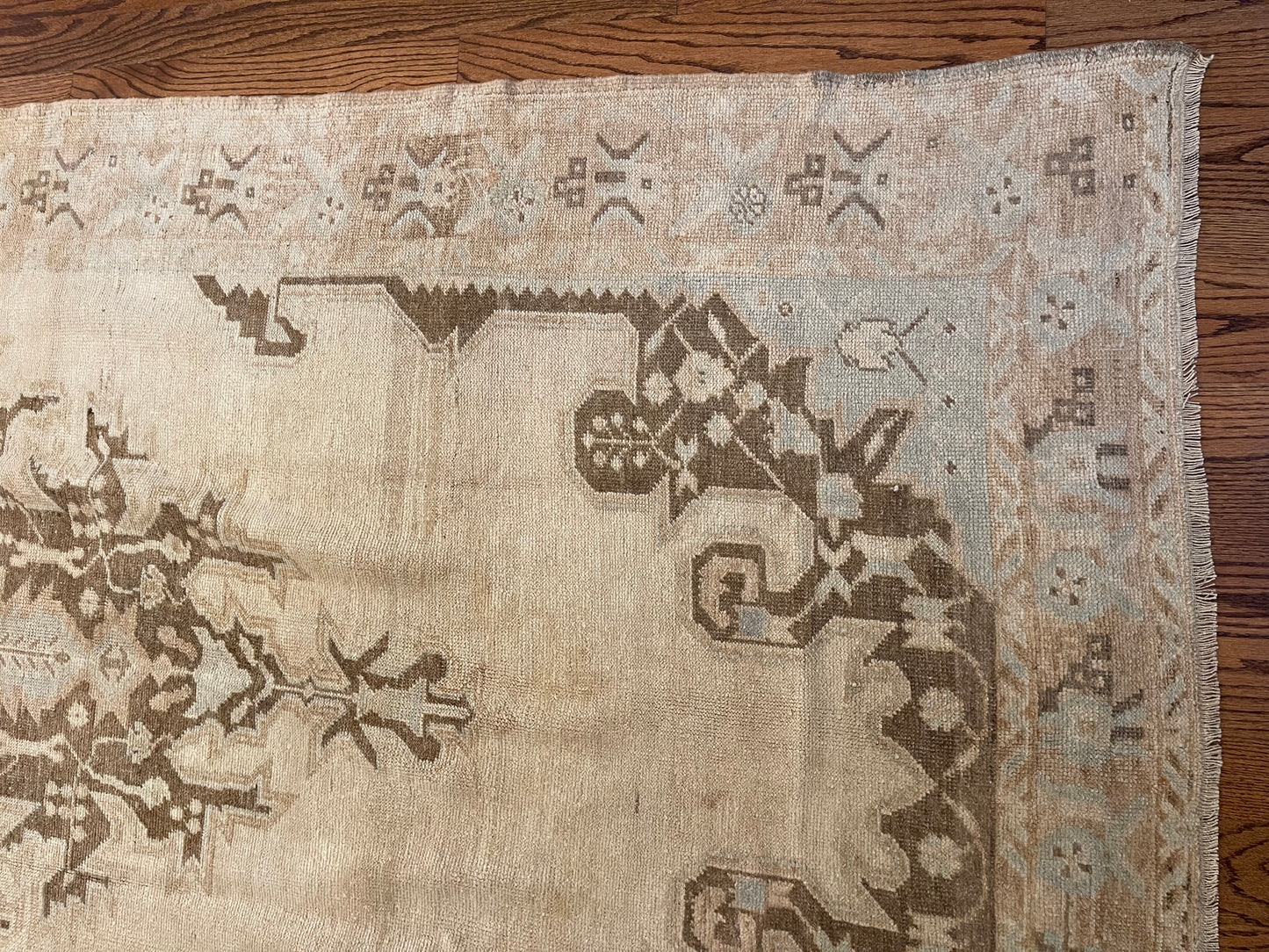 Olivia - Clements Fine Rugs