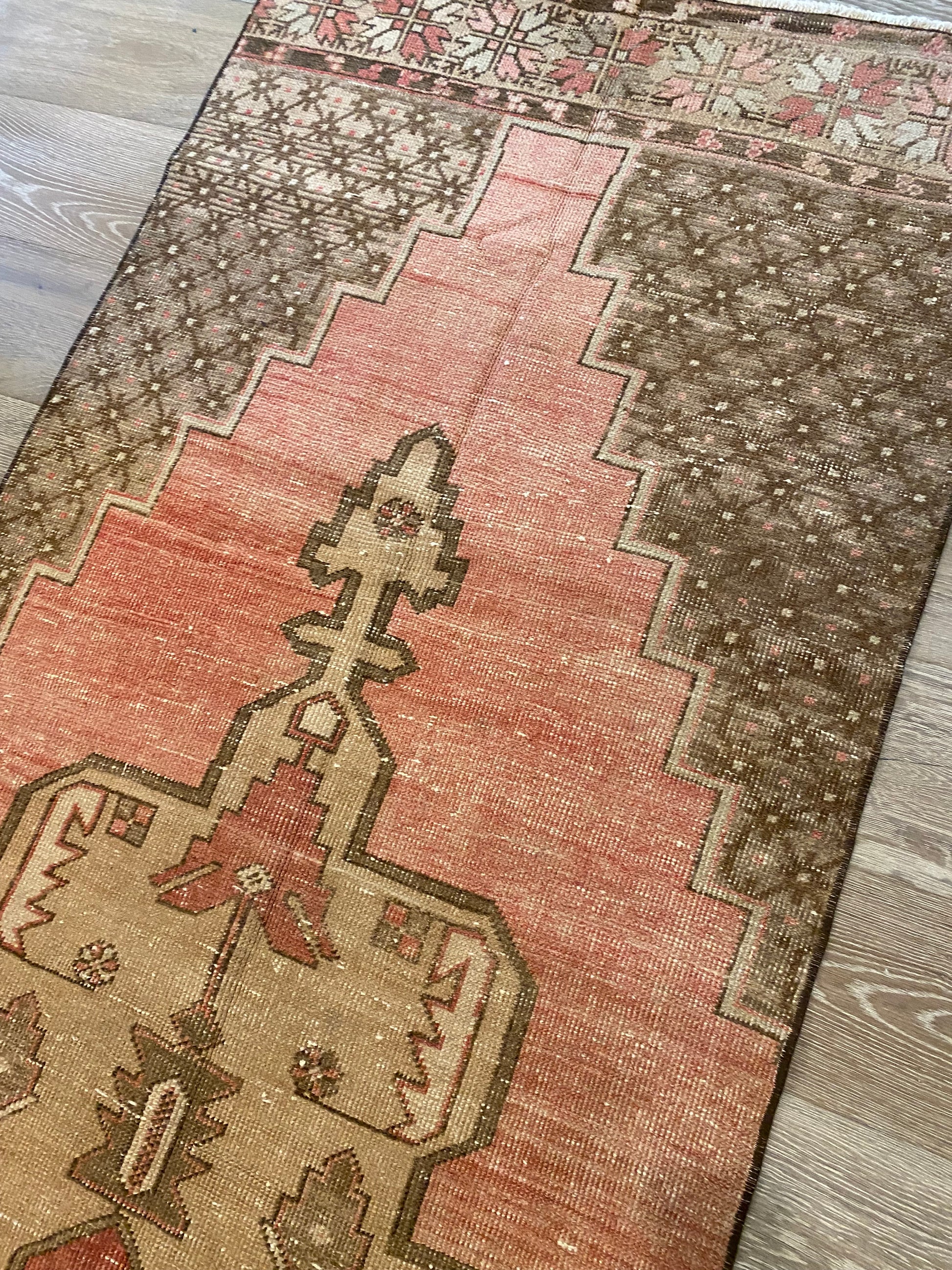 Celeste - Clements Fine Rugs 