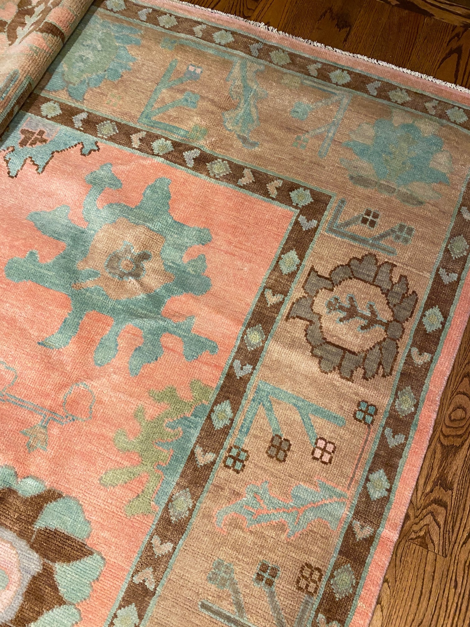 Ollie - Clements Fine Rugs 