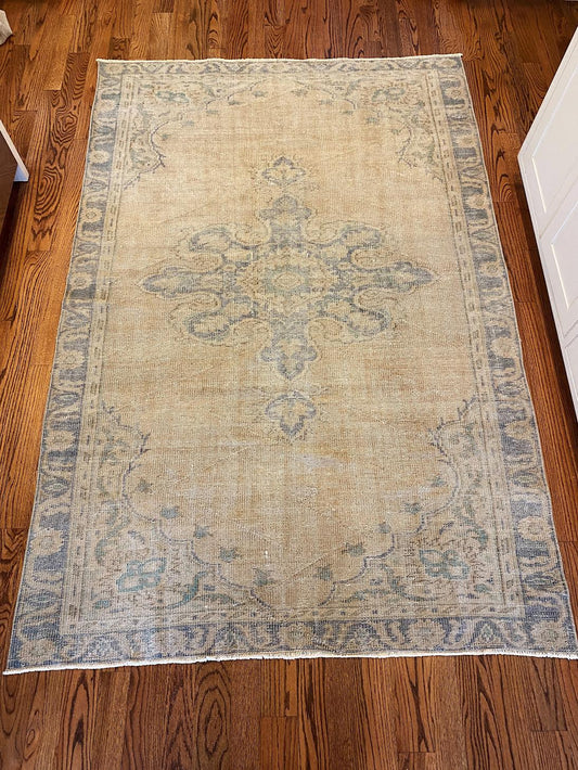 Clara - Clements Fine Rugs 